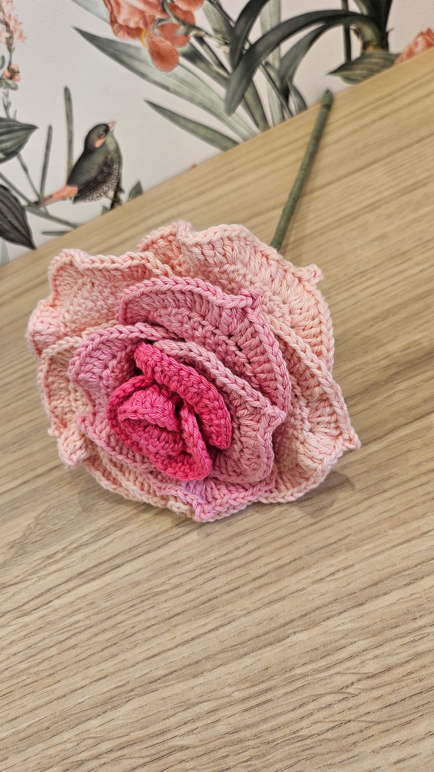 Rose xl
