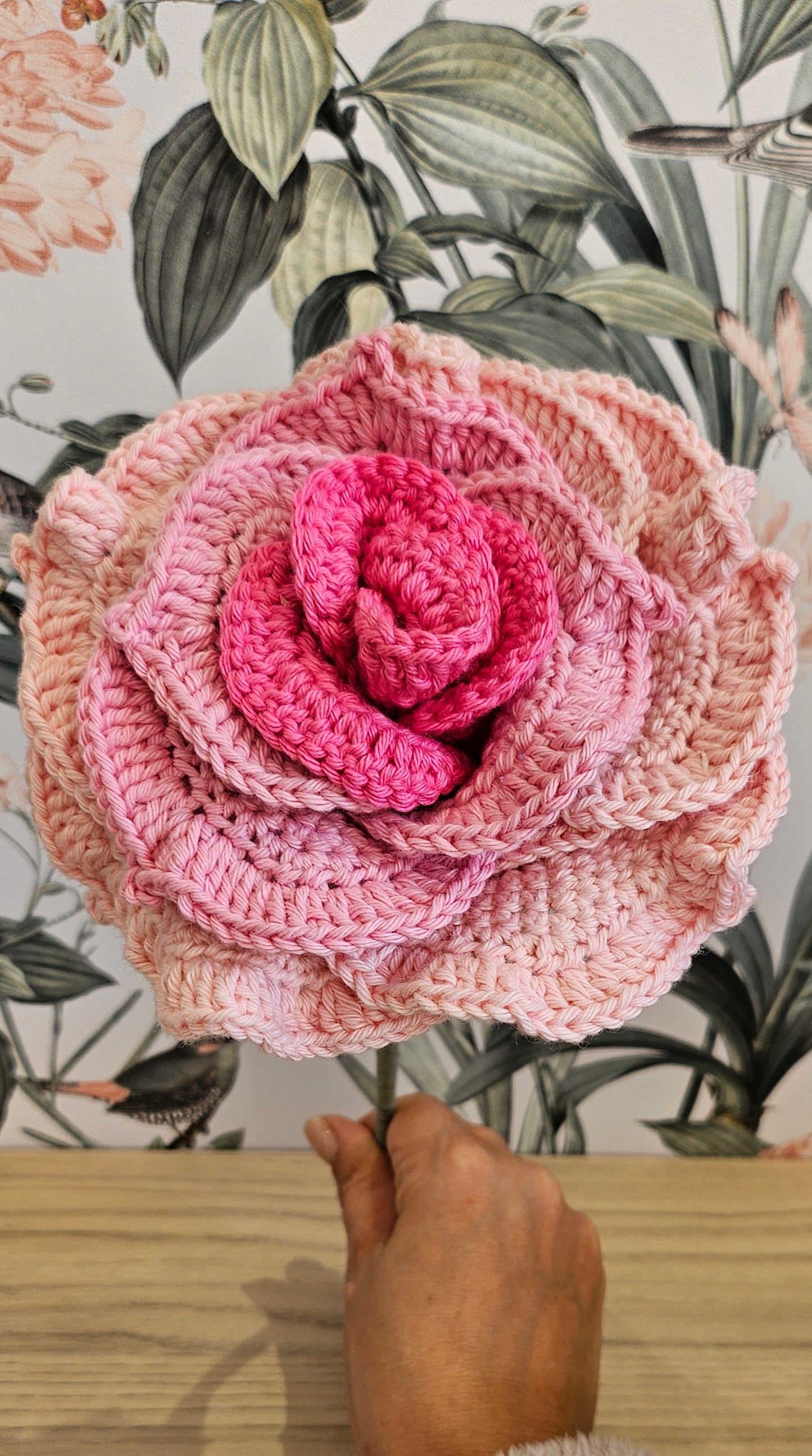 Rose xl