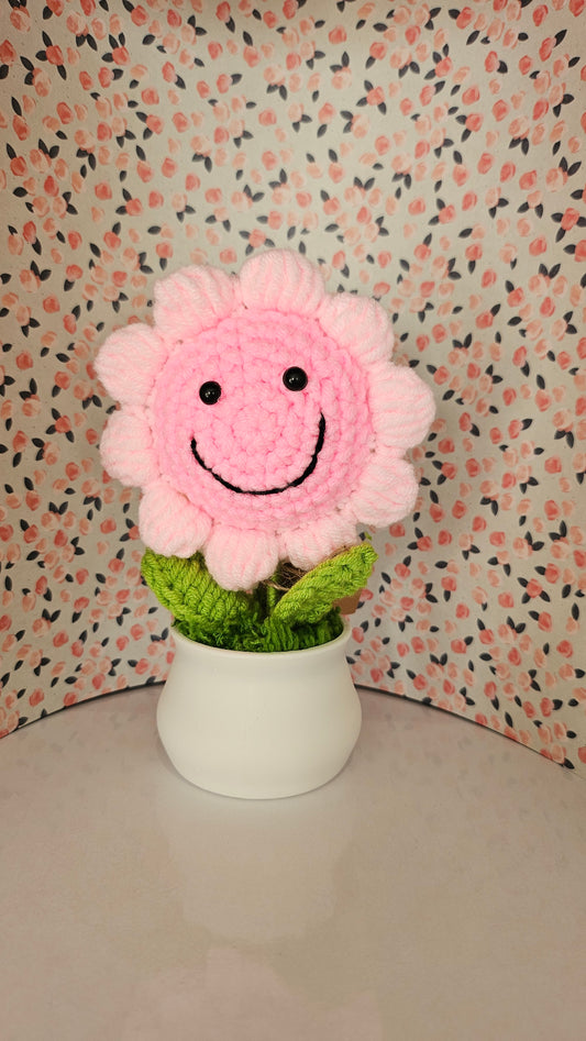 Tournesol en pot joyeux rose