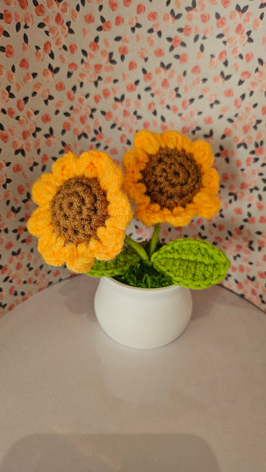 Tournesols en pot