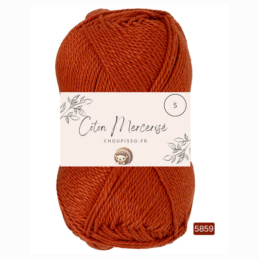 Coton mercerisé 5 Choupisso 5859